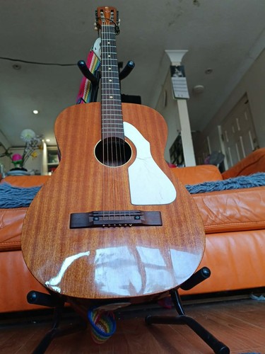 Guitar eko colorado - colorado, model