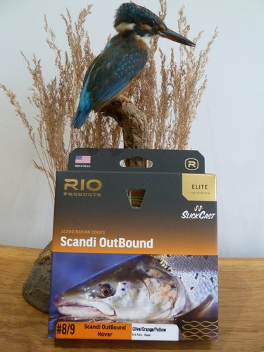 Rio elite scandi outbound - scandi,