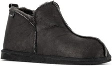 Black Shepherd of Sweden Anton