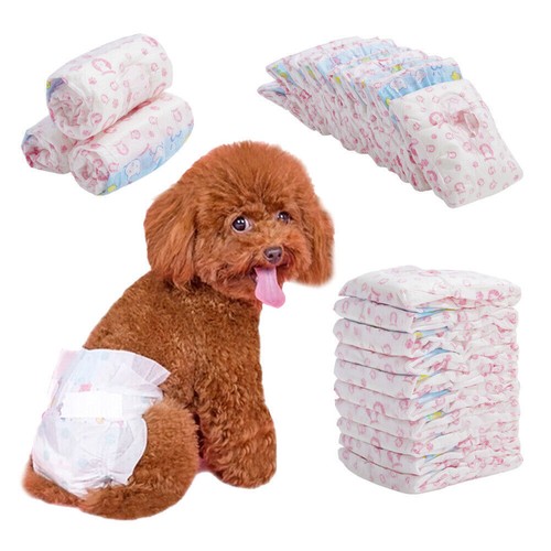 Pack female dog disposable - 10,