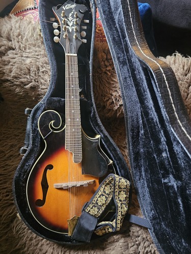 Vintage style string - f-style, 8-string