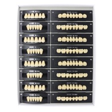 112Pcs/Pack HUGE KAILI A2 Dental Synthetic Polymer Resin Teeth T6 L6 32 A2 US