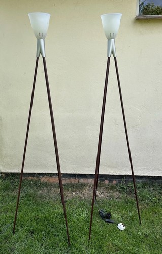 Flos rosy angelis - 2, tripod