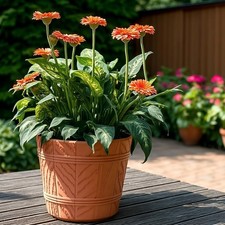 Barrel Planter Flower Pot Wood Effect Plastic Round Indoor Outdoor Garden Tub