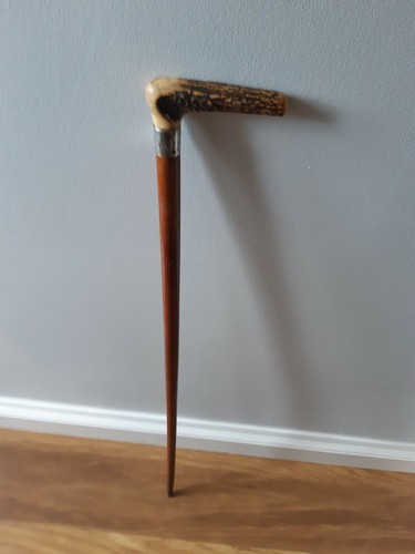 Stag horn handle malacca - horn,