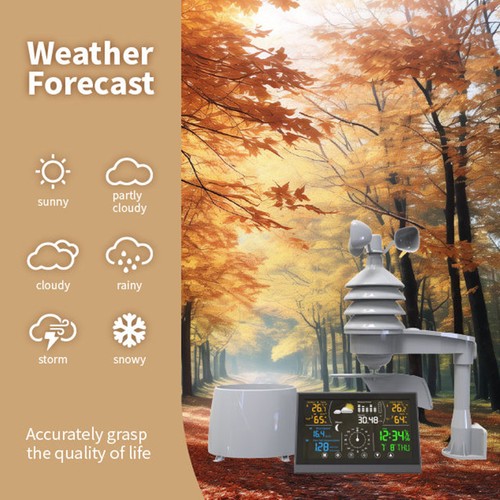 5in1 professional weather - 5in1,