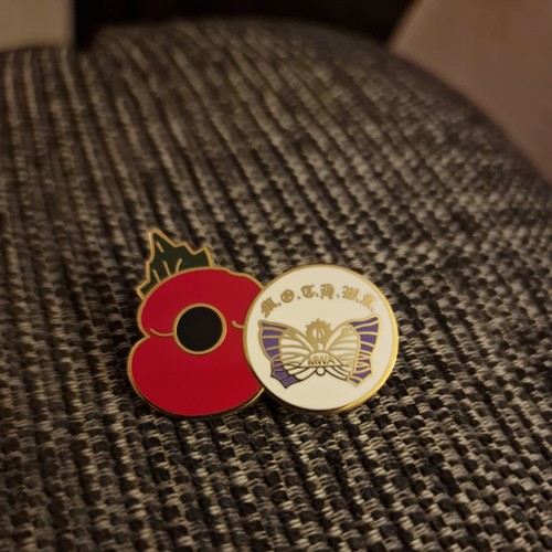 Poppy and moth memorable - poppy,