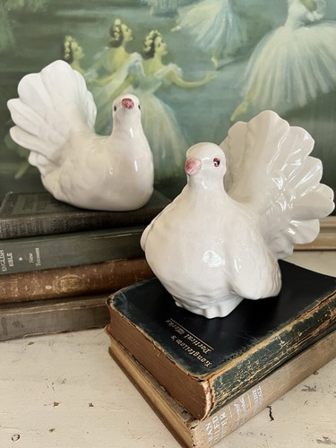 Pair white glossy glazed - glossy,
