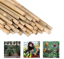 2FT 3FT 4FT 5FT 6FT Bamboo Canes Top Quality Strong Garden Plant Support Stick