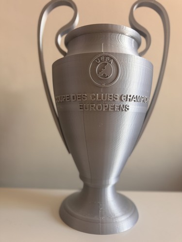 Printed uefa champions - 3d,