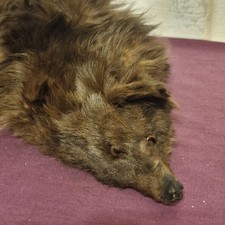 Vintage 1930/1940s Silver Fur