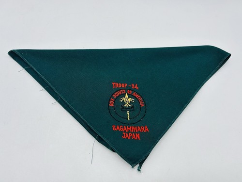 Troop boy scouts - troop, of
