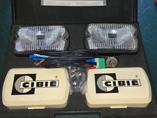 Renault pair of white targeted headlight with iodine 35 E2 protective cover