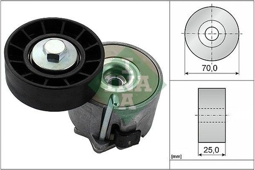 Ina belt tensioner for iveco - ina, v-belt