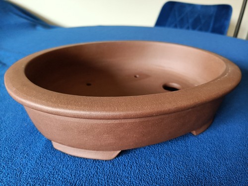 Value bonsai pots oval - bonsai,