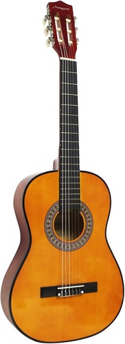 Martin smith acoustic guitar - martin,