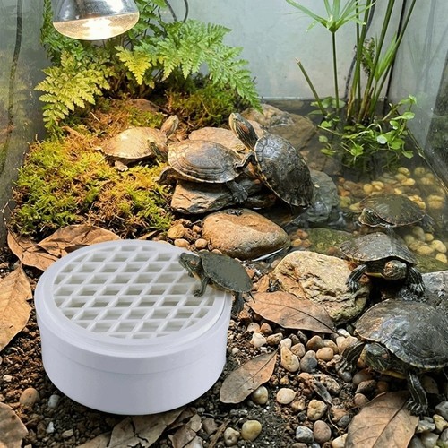 Plastic turtle poop collector - turtle,