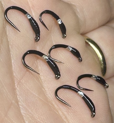 Black vicar buzzers trout - 3, x