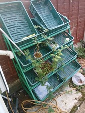 Racks For Vigitable With 9