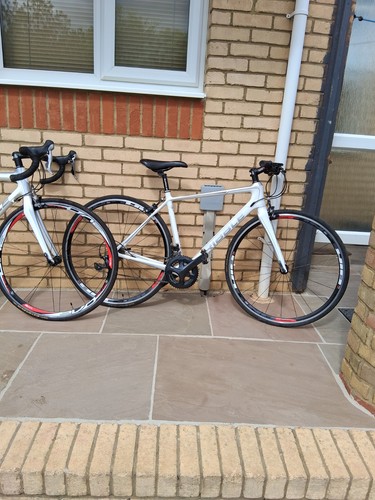 Ribble sportive carbon road - sportive,
