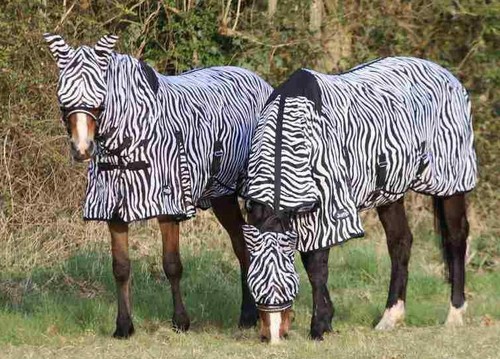 Zebra print horse fly - fly, all