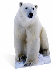 POLAR BEAR - LIFESIZE