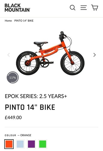 Black mountain pinto bike neon - mountain,