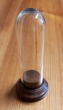 Vintage Glass Dome On Wooden