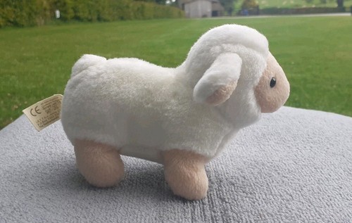 Anna club plush white sheep - club,