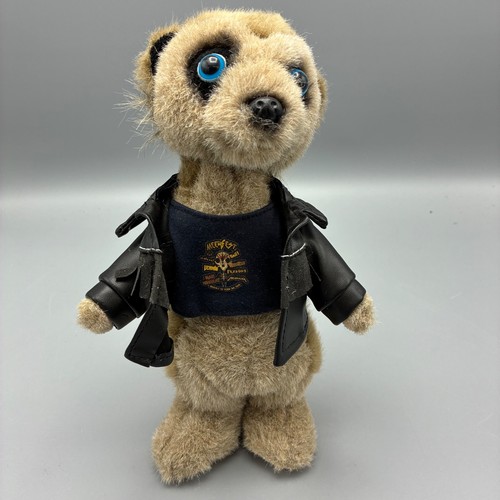 Meerkat soft toy - toy, a