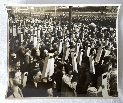 King george coronation - king,