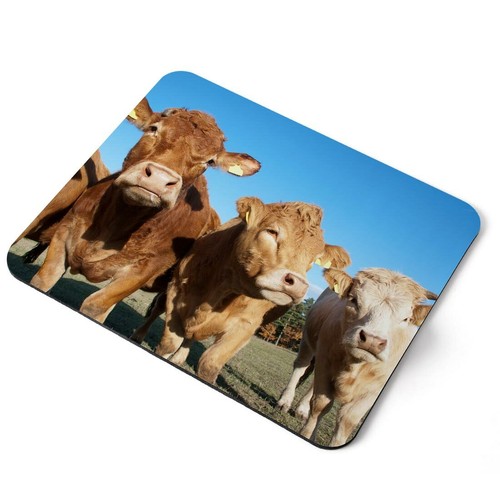 Mouse mat pad brown cows - mouse,
