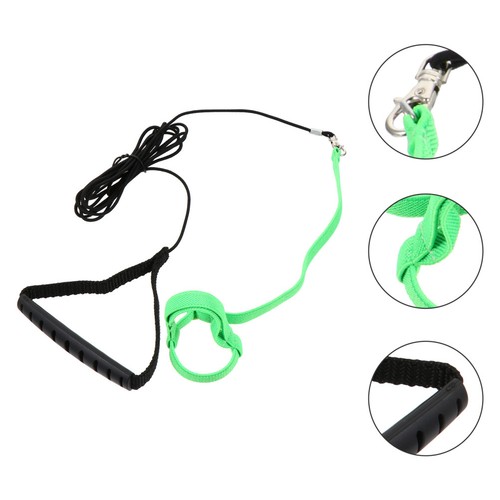 Bird leash kit parrot - bird,