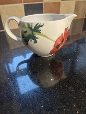 Wedgewood Painted Garden Jug
