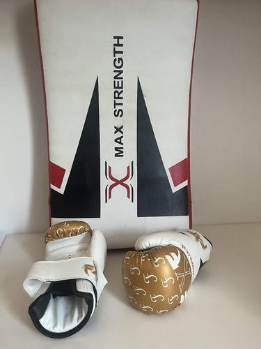 Boxing kick shield - boxing, pad