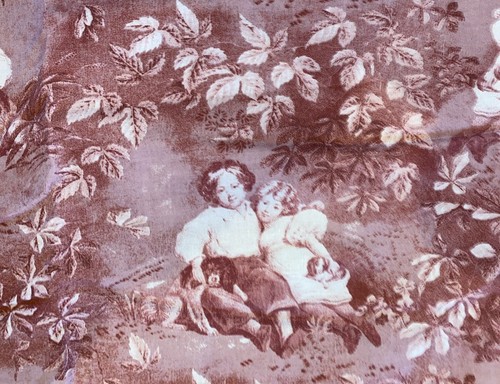 Rustic rose red outline toile - outline,