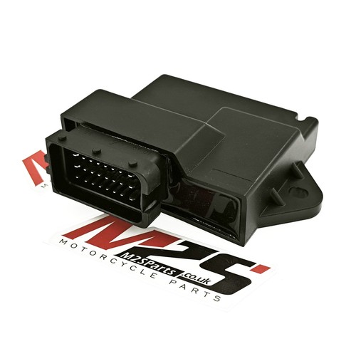 Derestricted pin ecu for - derestricted, 24