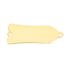 2 Holes Metal Truss Rod Cover