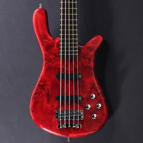 Warwick pro series - series, lx