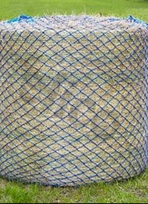 Elico Wild Boar Large Round