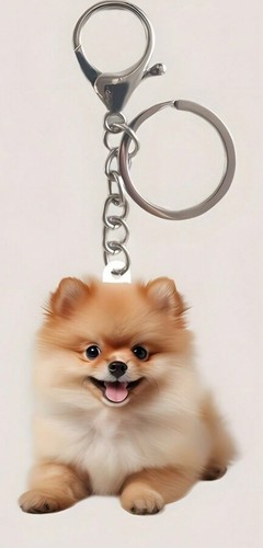 Pomeranian dog keyring free - pomeranian,