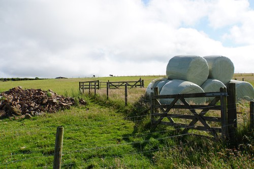 Photo silage bales below - photo, a2