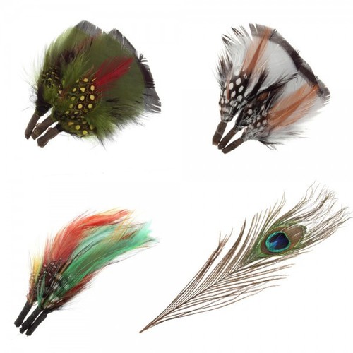 Assorted plumes feathers - feathers, or