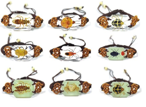 Real insect bracelet jewellery - real,