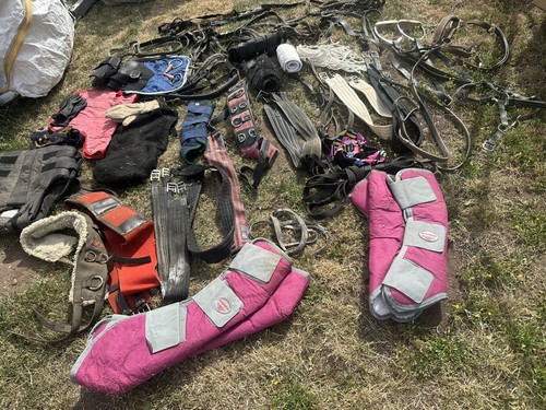 Job lot assorted horse - lot, of
