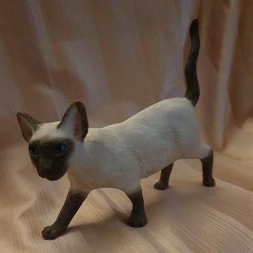 Siamese cat the leonardo - siamese,