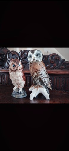 Michael sutty owls - michael,