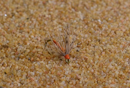 Doz orange partridge nymph - 1,