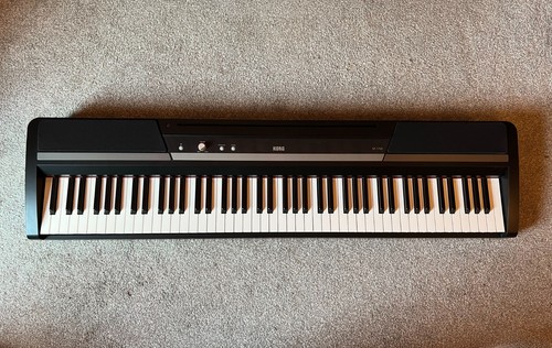 Korg 170s key - korg, sp-170s