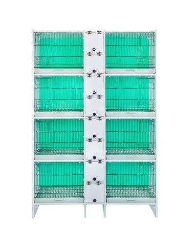 Double breeding cage budgies - breeding,
